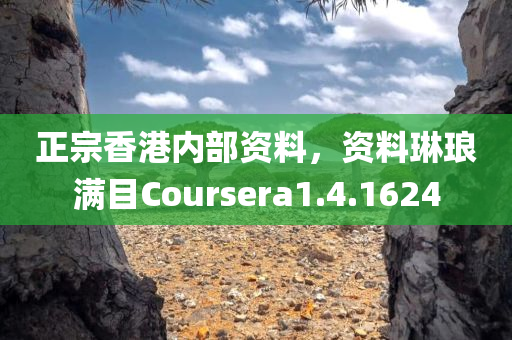 正宗香港内部资料，资料琳琅满目Coursera1.4.1624