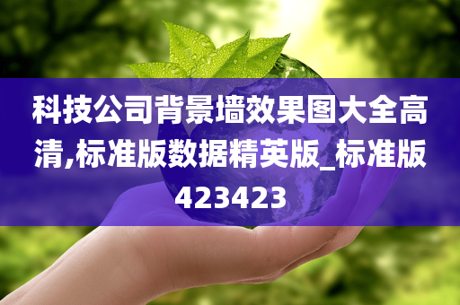 科技公司背景墙效果图大全高清,标准版数据精英版_标准版423423