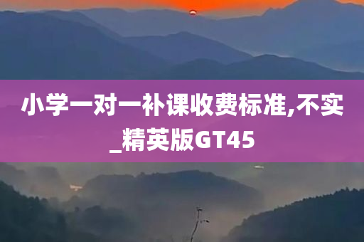 小学一对一补课收费标准,不实_精英版GT45