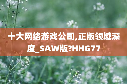 十大网络游戏公司,正版领域深度_SAW版?HHG77