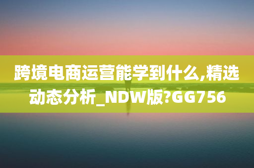 跨境电商运营能学到什么,精选动态分析_NDW版?GG756