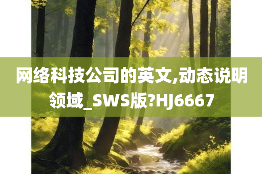 网络科技公司的英文,动态说明领域_SWS版?HJ6667