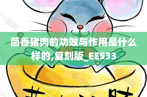 茴香猪肉的功效与作用是什么样的,复刻版_EE533