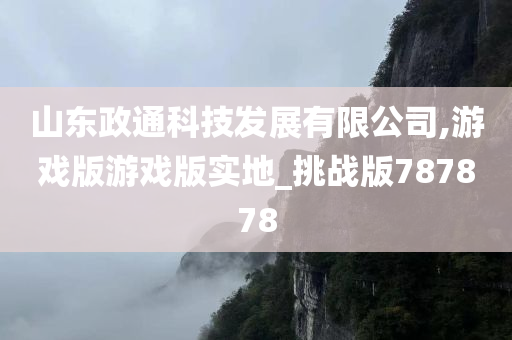 山东政通科技发展有限公司,游戏版游戏版实地_挑战版787878