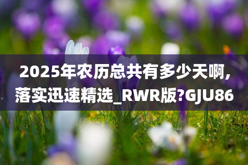 2025年农历总共有多少天啊,落实迅速精选_RWR版?GJU86