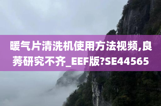 暖气片清洗机使用方法视频,良莠研究不齐_EEF版?SE44565