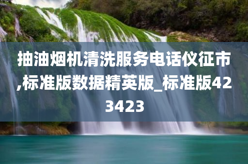 抽油烟机清洗服务电话仪征市,标准版数据精英版_标准版423423