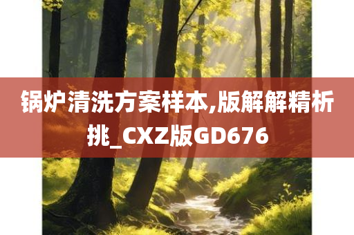 锅炉清洗方案样本,版解解精析挑_CXZ版GD676