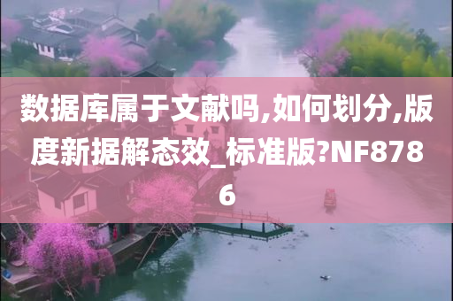 数据库属于文献吗,如何划分,版度新据解态效_标准版?NF8786