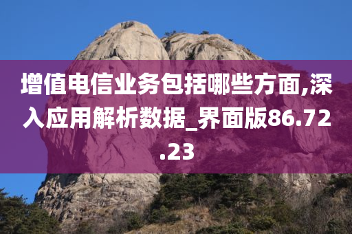 增值电信业务包括哪些方面,深入应用解析数据_界面版86.72.23