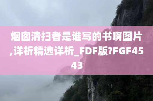 烟囱清扫者是谁写的书啊图片,详析精选详析_FDF版?FGF4543