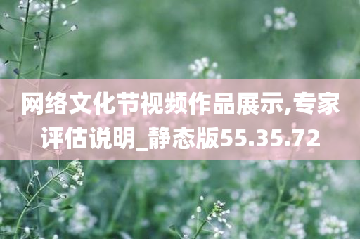 网络文化节视频作品展示,专家评估说明_静态版55.35.72