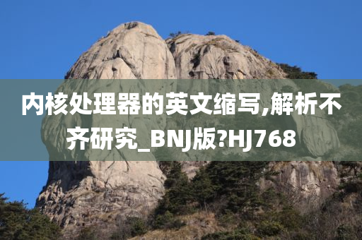 内核处理器的英文缩写,解析不齐研究_BNJ版?HJ768