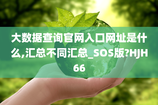 大数据查询官网入口网址是什么,汇总不同汇总_SOS版?HJH66