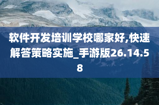 软件开发培训学校哪家好,快速解答策略实施_手游版26.14.58