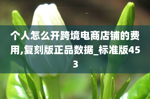 个人怎么开跨境电商店铺的费用,复刻版正品数据_标准版453