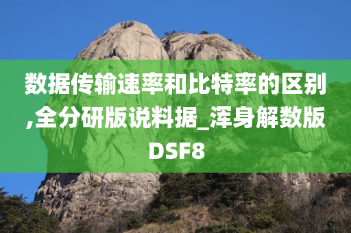 数据传输速率和比特率的区别,全分研版说料据_浑身解数版DSF8