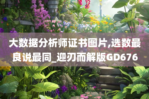 大数据分析师证书图片,选数最良说最同_迎刃而解版GD676