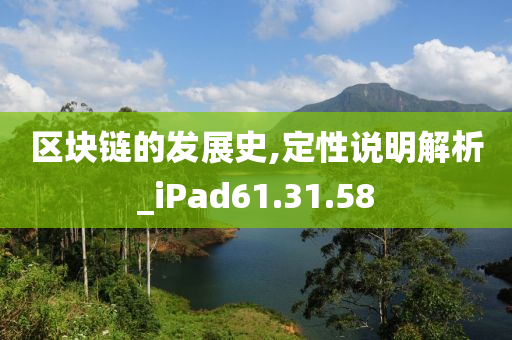 区块链的发展史,定性说明解析_iPad61.31.58