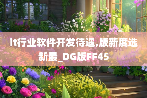 it行业软件开发待遇,版新度选新最_DG版FF45