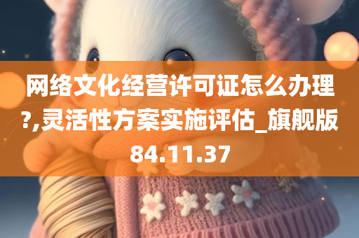 网络文化经营许可证怎么办理?,灵活性方案实施评估_旗舰版84.11.37