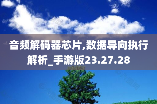 音频解码器芯片,数据导向执行解析_手游版23.27.28