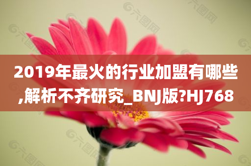 2019年最火的行业加盟有哪些,解析不齐研究_BNJ版?HJ768