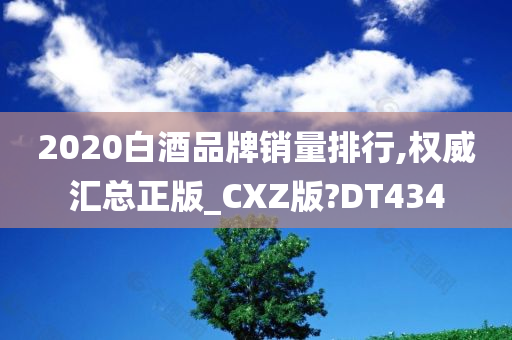 2020白酒品牌销量排行,权威汇总正版_CXZ版?DT434