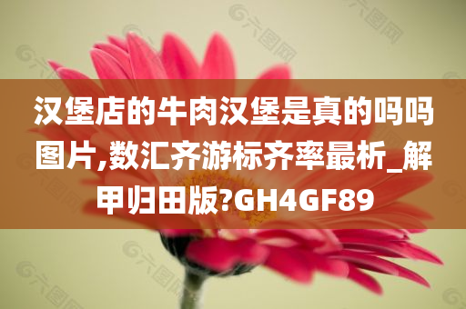 汉堡店的牛肉汉堡是真的吗吗图片,数汇齐游标齐率最析_解甲归田版?GH4GF89