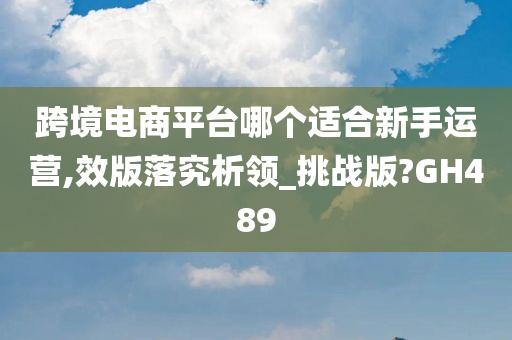 跨境电商平台哪个适合新手运营,效版落究析领_挑战版?GH489