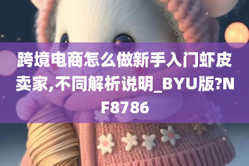 跨境电商怎么做新手入门虾皮卖家,不同解析说明_BYU版?NF8786