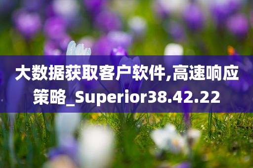 大数据获取客户软件,高速响应策略_Superior38.42.22