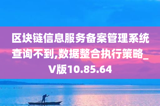 区块链信息服务备案管理系统查询不到,数据整合执行策略_V版10.85.64