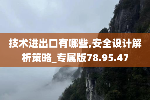 技术进出口有哪些,安全设计解析策略_专属版78.95.47