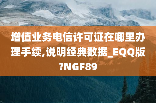 增值业务电信许可证在哪里办理手续,说明经典数据_EQQ版?NGF89