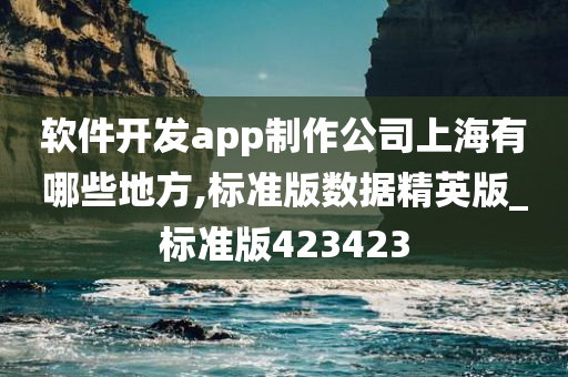 软件开发app制作公司上海有哪些地方,标准版数据精英版_标准版423423