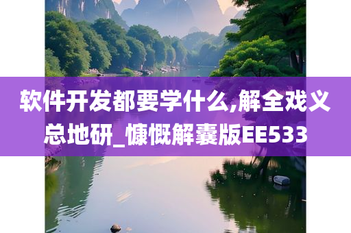 软件开发都要学什么,解全戏义总地研_慷慨解囊版EE533