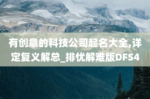 有创意的科技公司起名大全,详定复义解总_排忧解难版DFS4