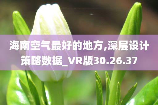 海南空气最好的地方,深层设计策略数据_VR版30.26.37