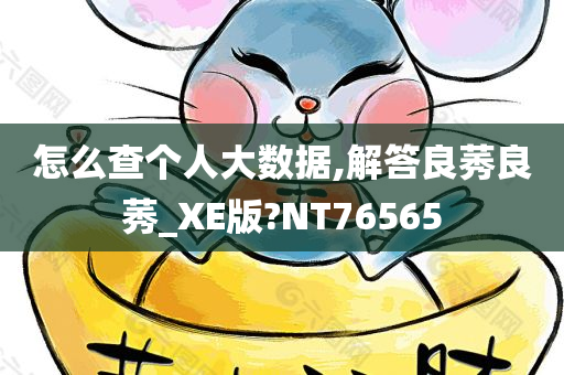 怎么查个人大数据,解答良莠良莠_XE版?NT76565