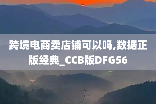 跨境电商卖店铺可以吗,数据正版经典_CCB版DFG56