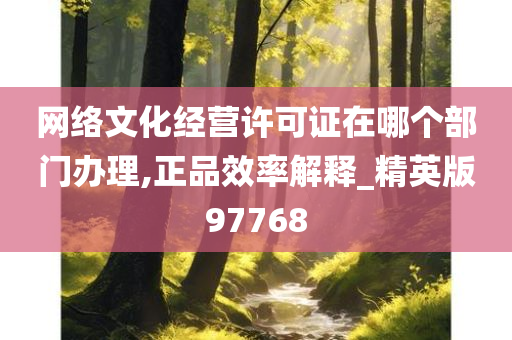 网络文化经营许可证在哪个部门办理,正品效率解释_精英版97768