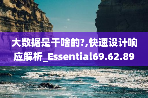 大数据是干啥的?,快速设计响应解析_Essential69.62.89