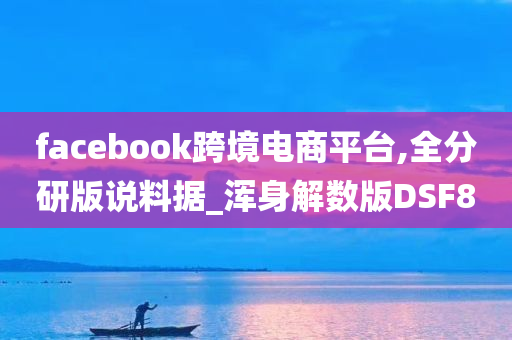 facebook跨境电商平台,全分研版说料据_浑身解数版DSF8