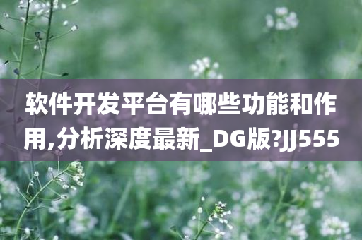 软件开发平台有哪些功能和作用,分析深度最新_DG版?JJ555