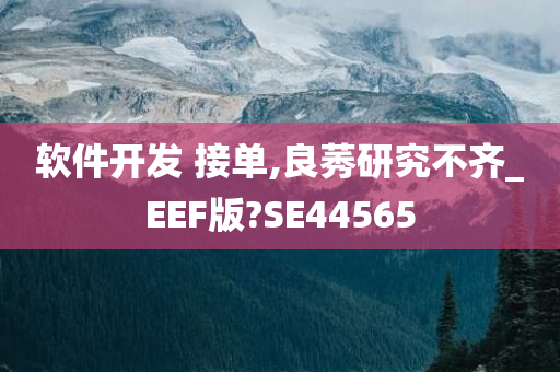 软件开发 接单,良莠研究不齐_EEF版?SE44565