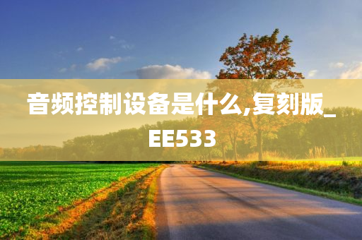 音频控制设备是什么,复刻版_EE533