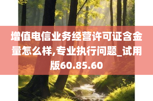 增值电信业务经营许可证含金量怎么样,专业执行问题_试用版60.85.60