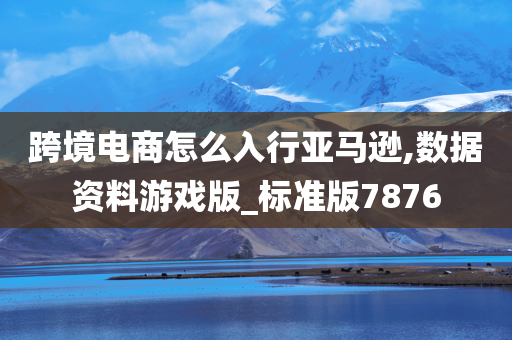 跨境电商怎么入行亚马逊,数据资料游戏版_标准版7876