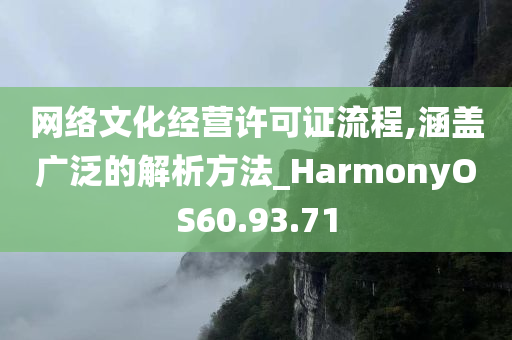 网络文化经营许可证流程,涵盖广泛的解析方法_HarmonyOS60.93.71